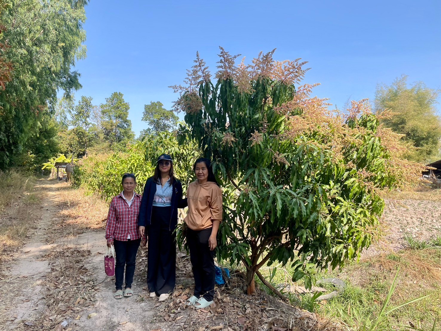 พช. ป่าติ้ว ลงพื้นที่ติดตามผลการดำเนินงานตามโครงการพัฒนาพื้นที่ต้นแบบการพัฒนาคุณภาพชีวิต ตามหลักทฤษฎีใหม่ ประยุกต์สู่ โคก หนอง นา