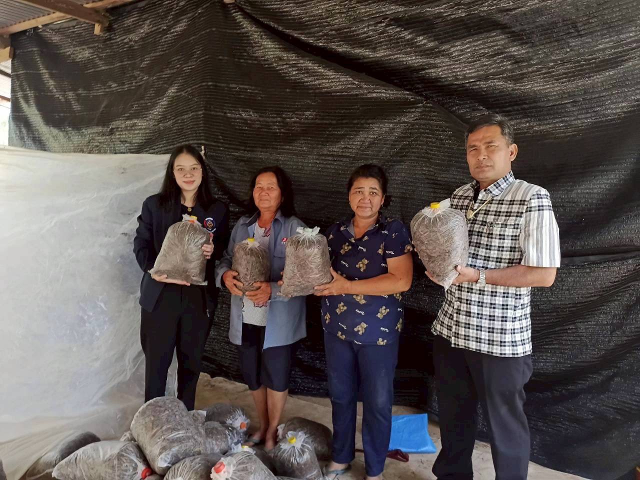 พช.ป่าติ้ว ติดตามกลุ่มเพาะเห็ดบ้านป่าตอง ใช้เงินกองทุนสตรีต่อยอดอาชีพ สร้างรายได้จริง 