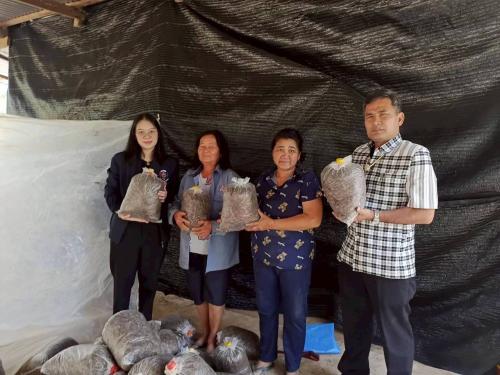 พช.ป่าติ้ว ติดตามกลุ่มเพาะเห็ดบ้านป่าตอง ใช้เงินกองทุนสตรีต่อยอดอาชีพ สร้างรายได้จริง 