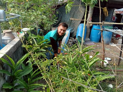 ผู้นำชุมชน พื้นที่อำเภอป่าติ้ว ขับเคลื่อน "ผู้นำต้อง ทำก่อน" ปลูกผักสวนครัวในพื้นที่บ้านพัก